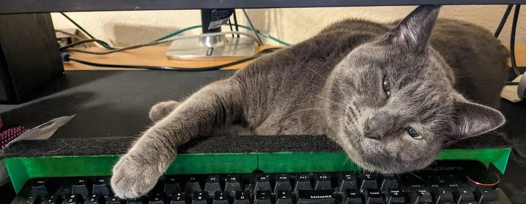 Chắn Bàn Phím Hình Mèo [CHƯA HOÀN THIỆN] - Image 1