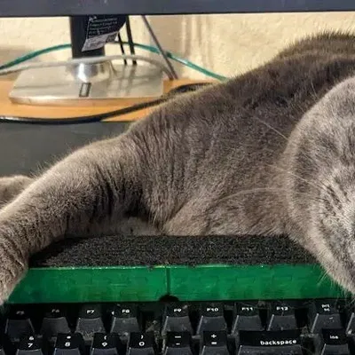 Chắn Bàn Phím Hình Mèo [CHƯA HOÀN THIỆN]