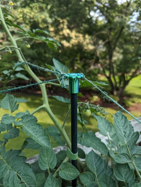 Nắp và Kẹp Cọc Trồng Cây - Image 4