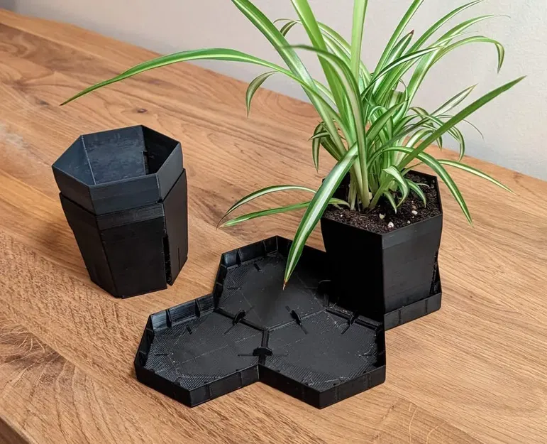 Hexpot for Seedlings - Image 1