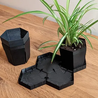 Hexpot for Seedlings