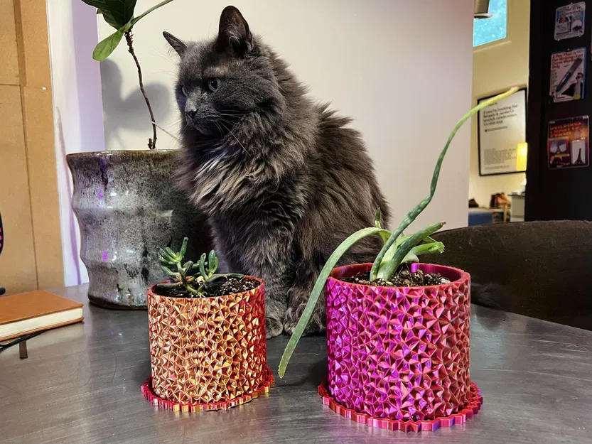 Chậu Voronoi - Image 2