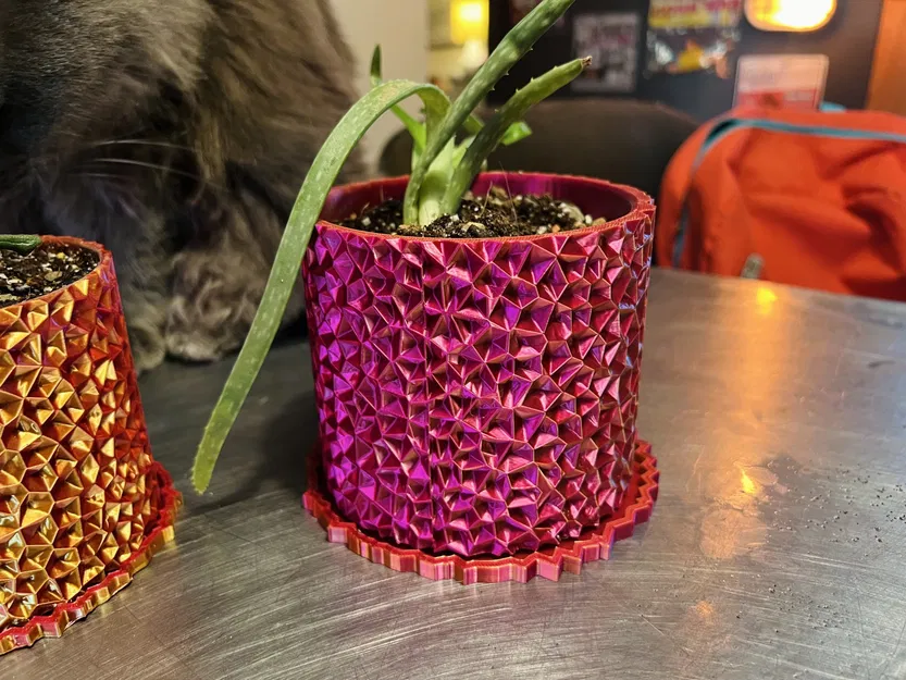 Chậu Voronoi - Image 3