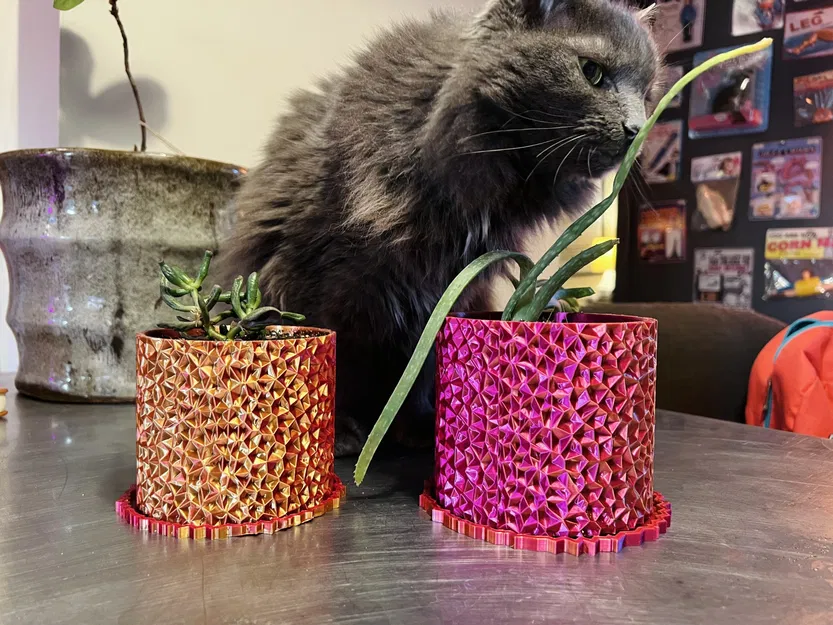 Chậu Voronoi - Image 5