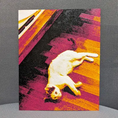 Cat - Hueforge (Fotis)