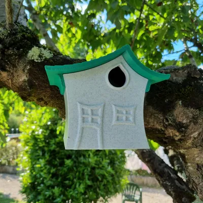 Chuồng chim sẻ xanh