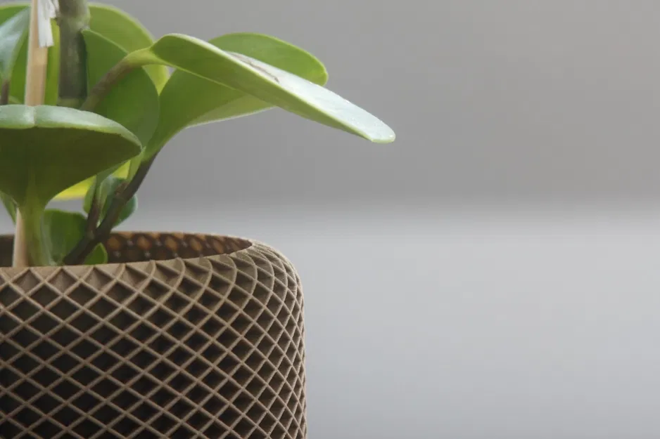 Chậu Cây Hình Học 1 - Image 1