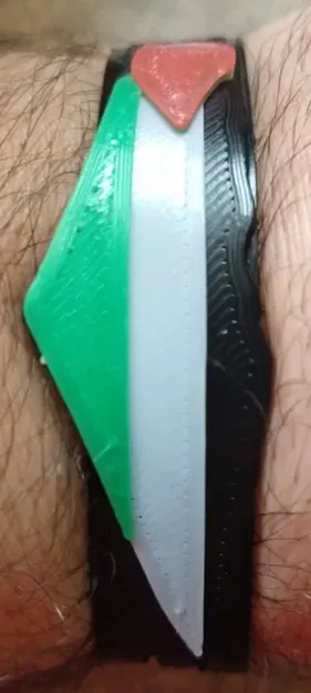 Dây Đeo Tay/Móc Khóa Palestine - Image 2