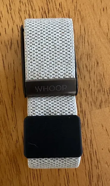 Tag Gắn Dây Đeo Cho Vòng Tay Whoop (Trống) - Image 1