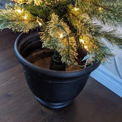 Bộ Chuyển Đổi Cây Thông Noel Walmart Vô Thùng