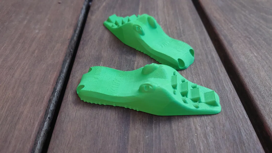 Cá Sấu Bơi Lội - Image 1