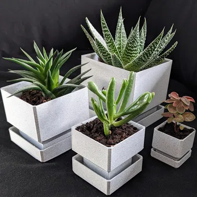 Rectangular Pot with Integrated Tray