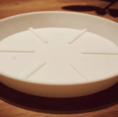 AquaGuard Custom Saucer: Đế Chậu Cây Tự Tạo Tối Ưu Nhất