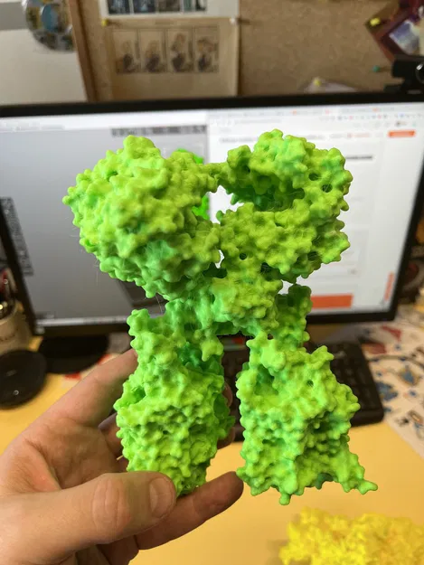 Cụm phức hợp ACE2/B0AT1 của người - tùy chọn có protein S từ SARS-CoV-2 - Image 1