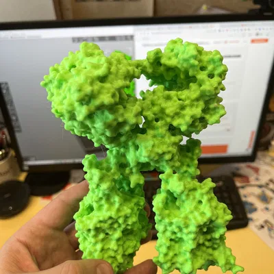 Cụm phức hợp ACE2/B0AT1 của người - tùy chọn có protein S từ SARS-CoV-2