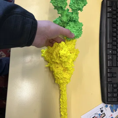 Cụm phức hợp ACE2/B0AT1 của người - tùy chọn có protein S từ SARS-CoV-2