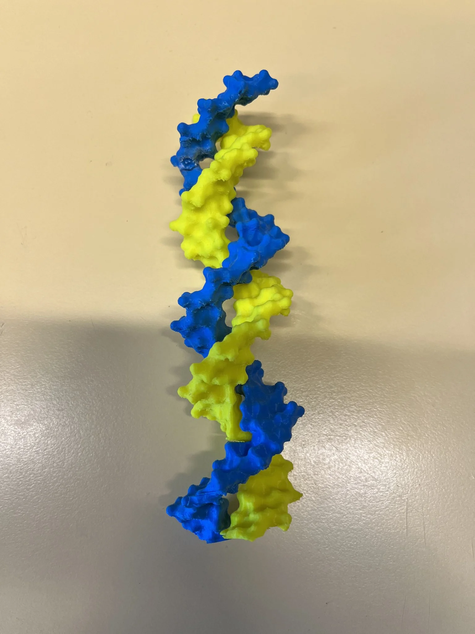Mô Hình Phân Tử DNA Xoắn Kép 1