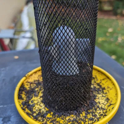 Bộ Chèn Hạt Kiều Mạch Cho Khay Chim