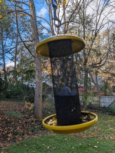 Bộ Chèn Hạt Kiều Mạch Cho Khay Chim - Image 4