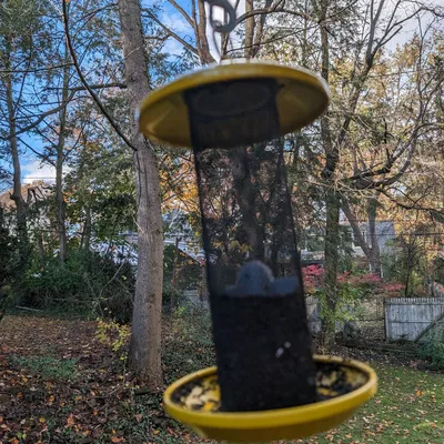 Bộ Chèn Hạt Kiều Mạch Cho Khay Chim