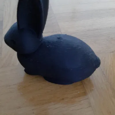 Các Kiểu Thỏ Khác Nhau