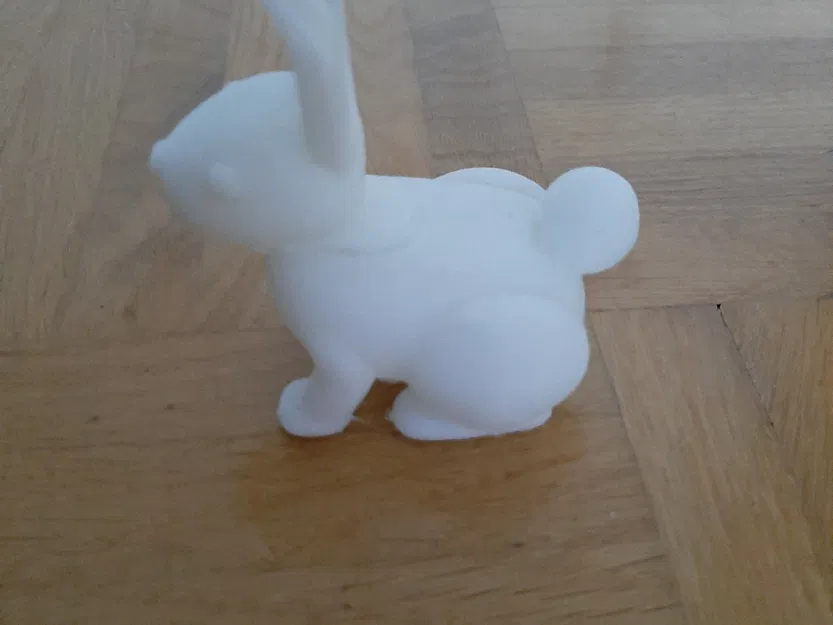 Các Kiểu Thỏ Khác Nhau - Image 2