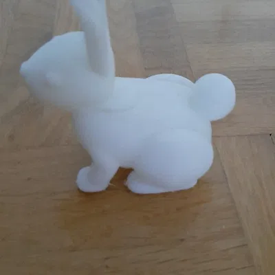 Các Kiểu Thỏ Khác Nhau