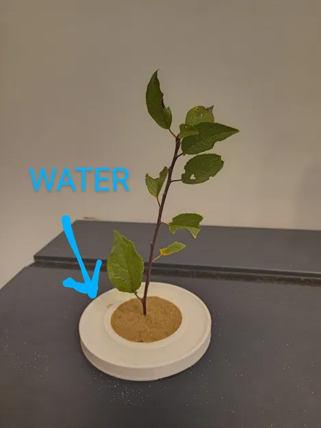 Pojemnik Garden zen z wodą - Image 1