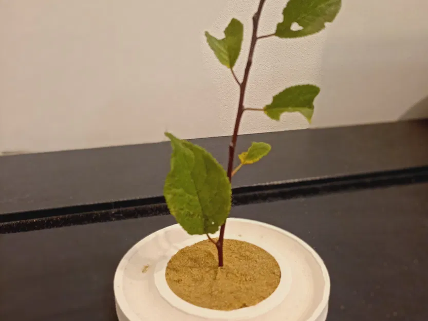 Pojemnik Garden zen z wodą - Image 4