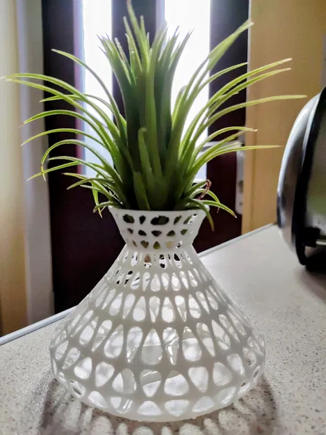 Chậu cây không khí Air Plant Vase - Image 1