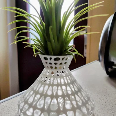Chậu cây không khí Air Plant Vase