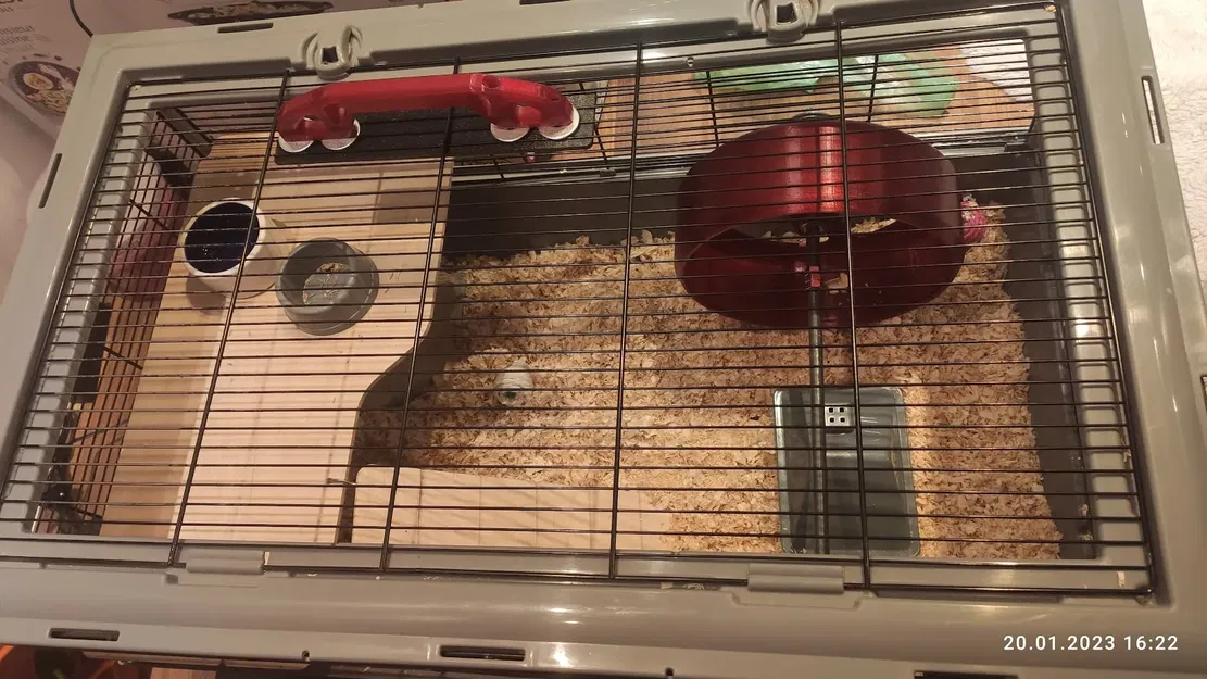 Bánh Xe Tập Thể Dục Lớn Cho Hamster Có Vòng Bi - Image 2