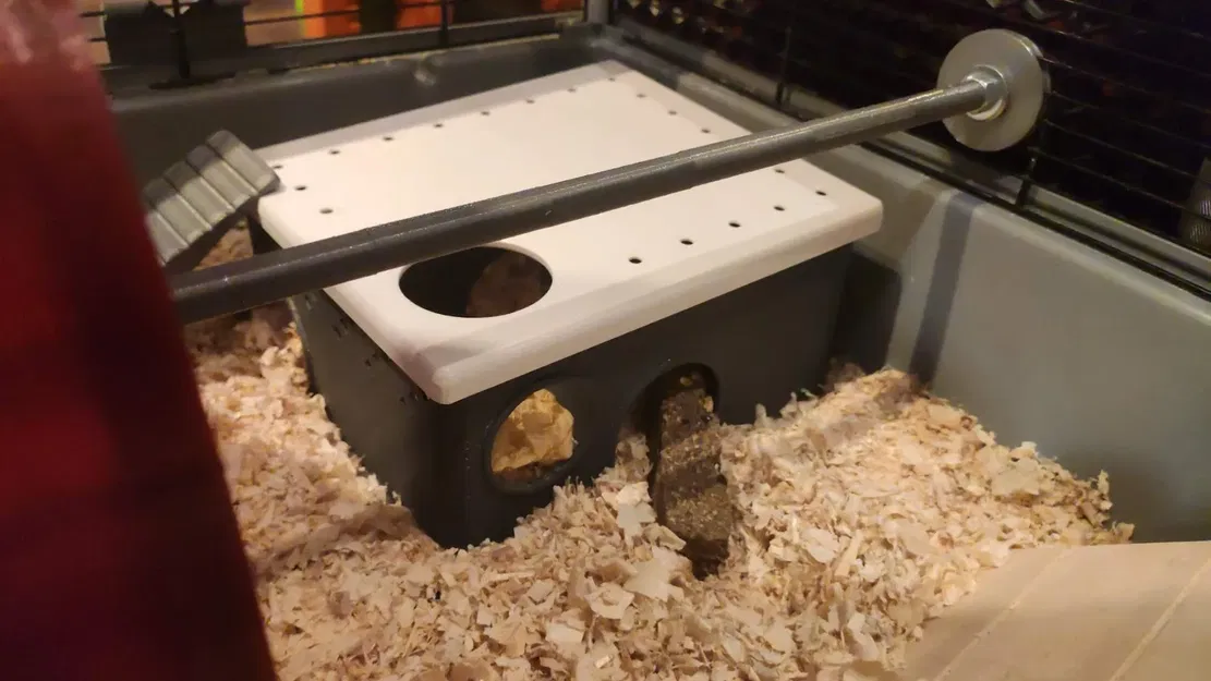 Bánh Xe Tập Thể Dục Lớn Cho Hamster Có Vòng Bi - Image 3