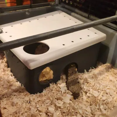 Bánh Xe Tập Thể Dục Lớn Cho Hamster Có Vòng Bi