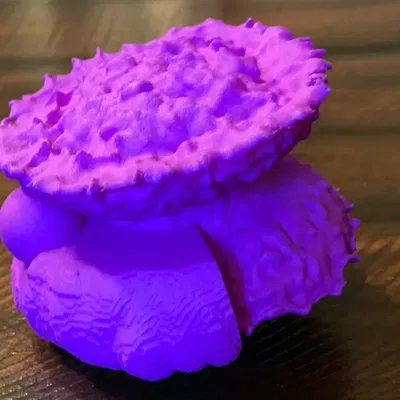 Supernova - Mô phỏng Khoa học từ Quan sát Thực tế