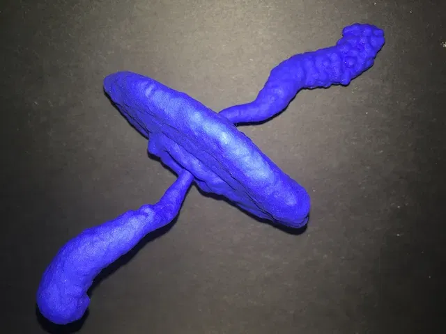 Tinh Vân Con Cua - Image 1