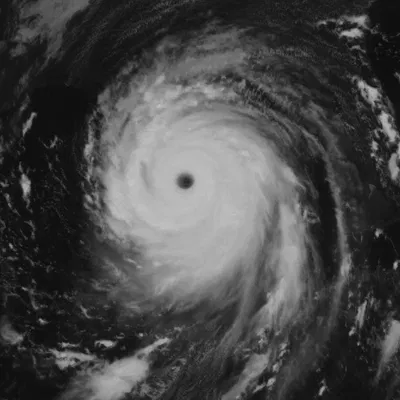 Mô hình 3D Bão Katrina