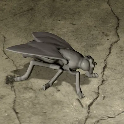 Cái Kẹp Diêm Hình Con Ruồi Bằng Gang