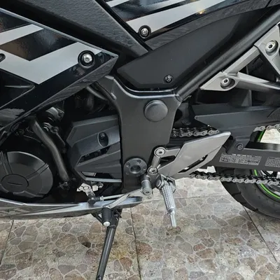 Chao Gắp Sau Kawasaki Ninja 300 - Mã 11065-0748-18T