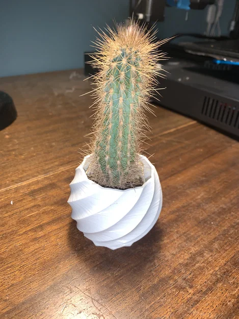 Small Curved Plant Vase - Image 1