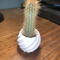 Small Curved Plant Vase - Thumbnail 1