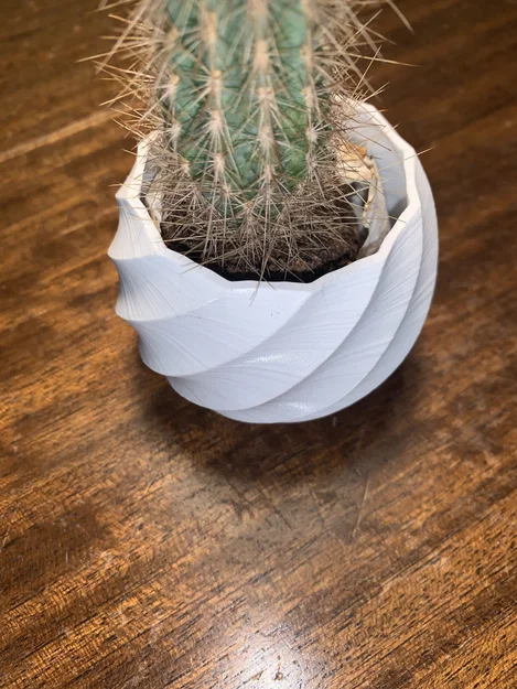 Small Curved Plant Vase - Image 2