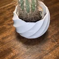 Small Curved Plant Vase - Thumbnail 2