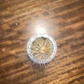 Small Curved Plant Vase - Thumbnail 3