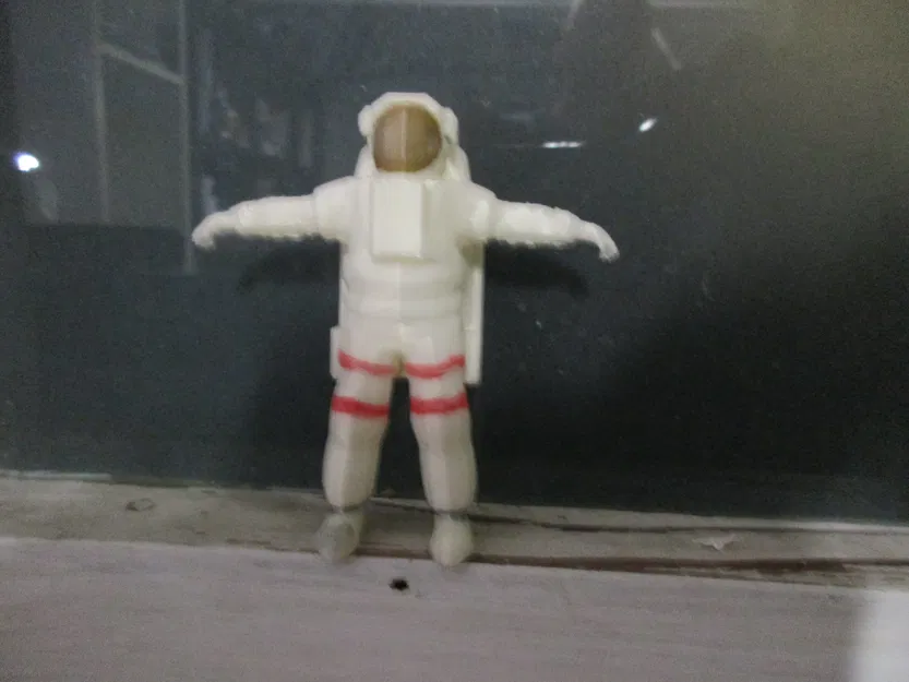 Phi hành gia "Shuttle" Nasa (2009) - Image 1