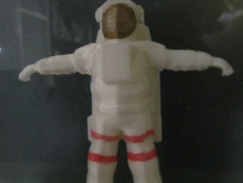 Phi hành gia "Shuttle" Nasa (2009) - Image 4