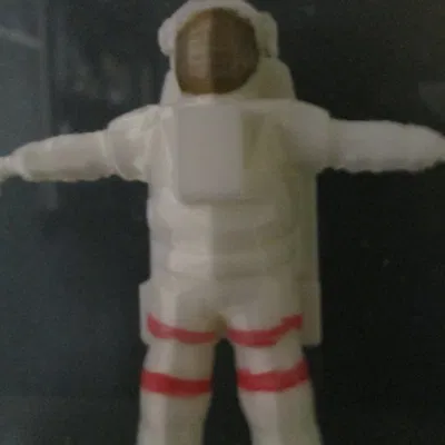 Phi hành gia "Shuttle" Nasa (2009)