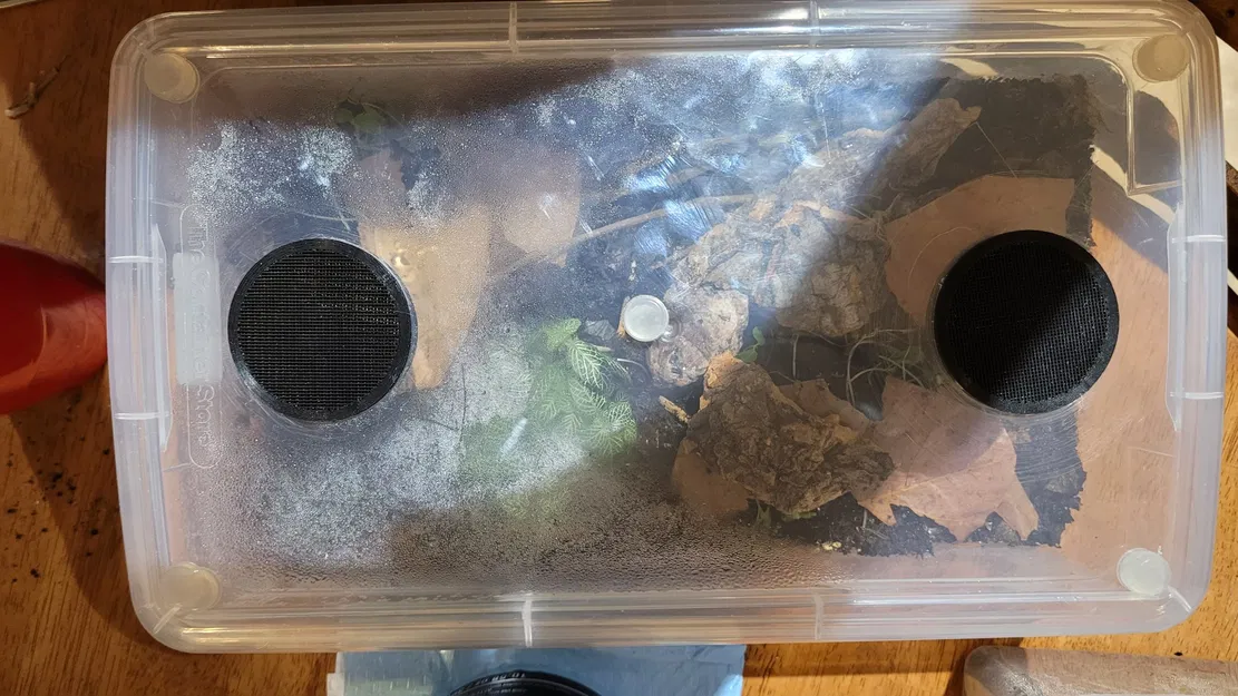 Lỗ Thông Gió Con Sâu Bọ 2 Cỡ 50mm - Image 2