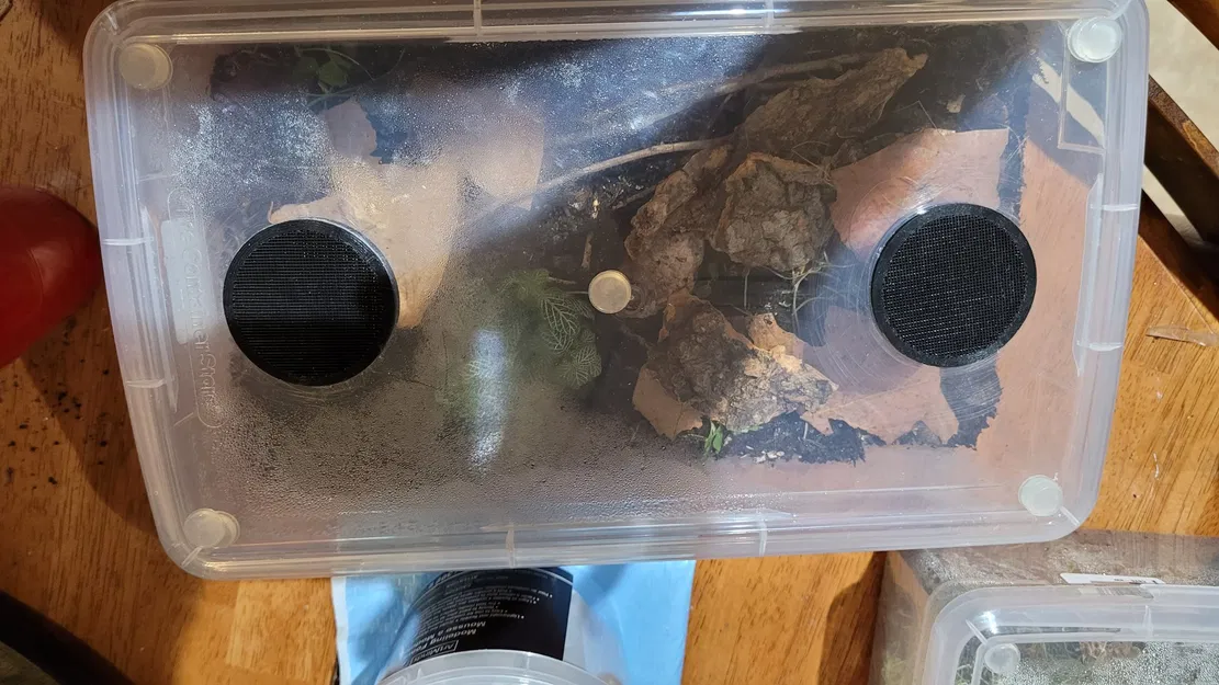 Lỗ Thông Gió Con Sâu Bọ 2 Cỡ 50mm - Image 3