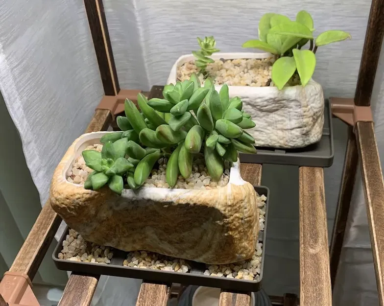 Đế Chậu Hoa Mọng Nước Hình Chữ Nhật - Image 1